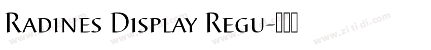 Radines Display Regu字体转换